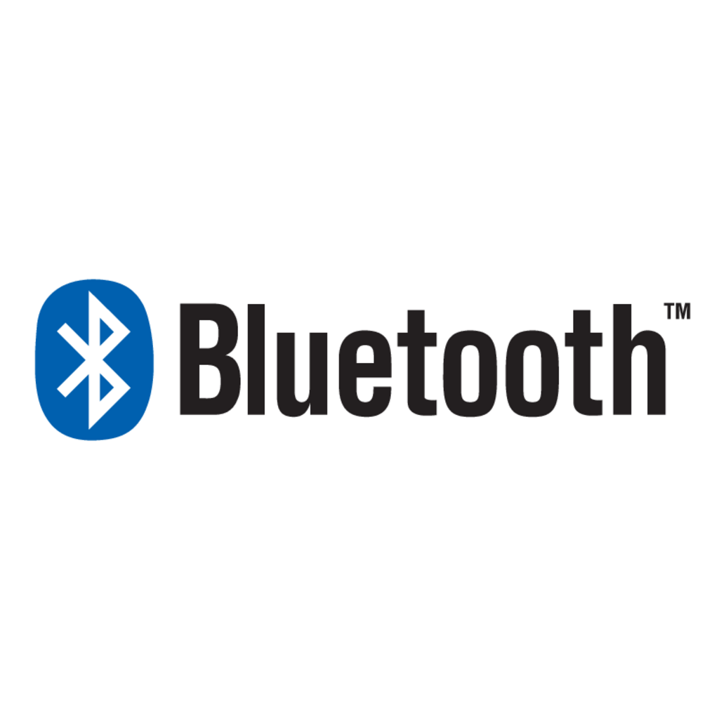 Bluetooth(312)