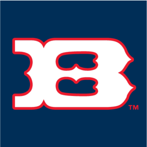 Boise Hawks(27) Logo