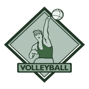 Volleyball Logo