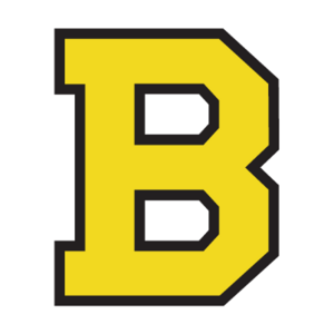 Boston Bruins(98)