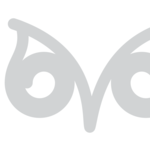 IDGSA Logo