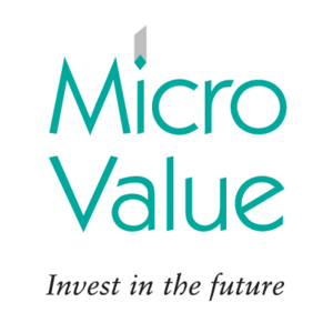 Micro Value(100) Logo