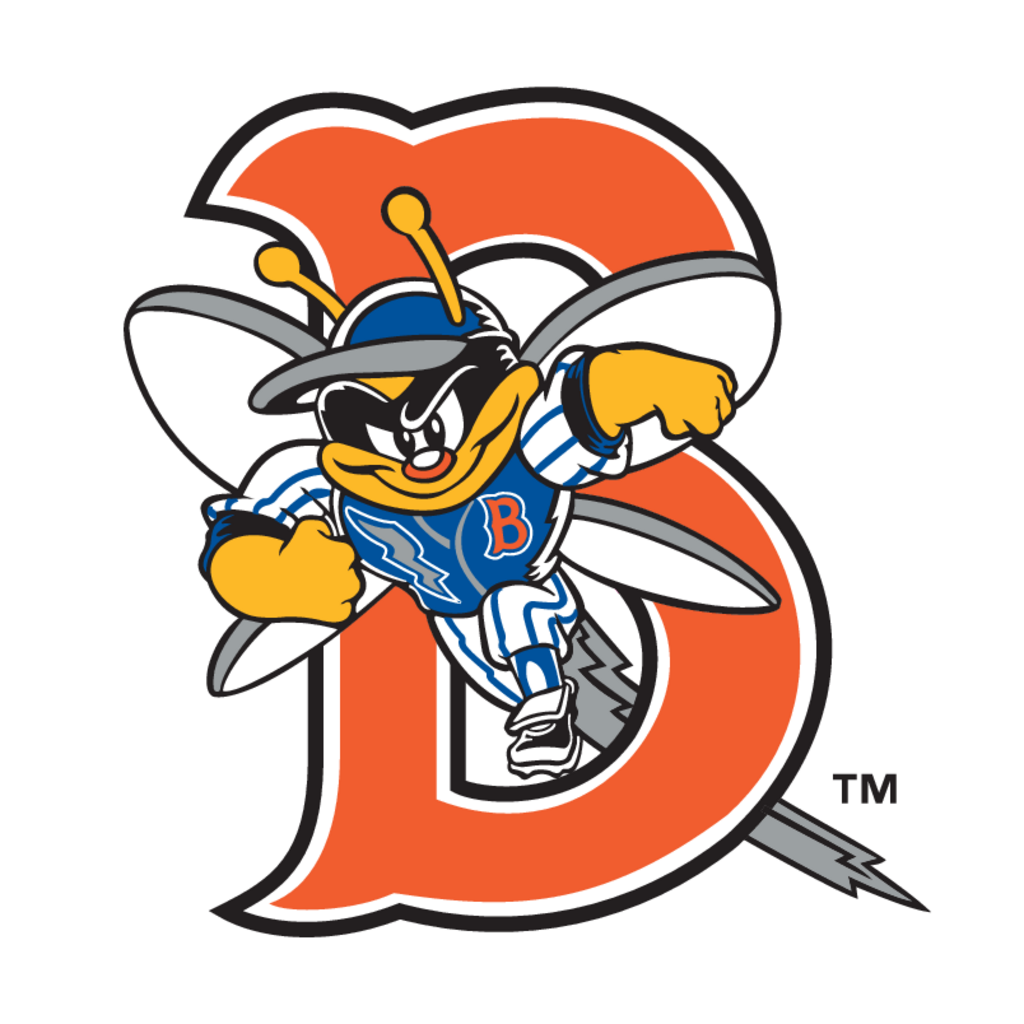 Binghamton,Mets(235)