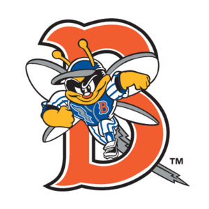 Binghamton Mets(235) Logo