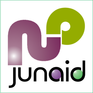 Junaid NP Logo