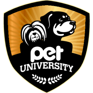 Pet University Mexico