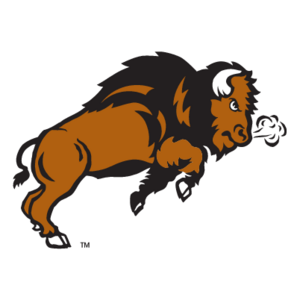 NDSU Bison(34) Logo