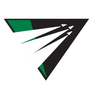 Raliegh-Durham Skyhawks(77) Logo
