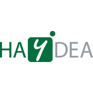 HAYDEA - Transforming Business Processes Logo