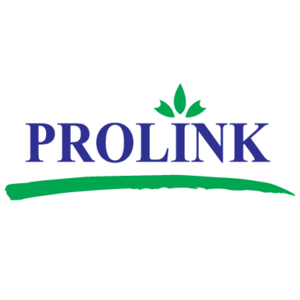 Prolink Development Logo