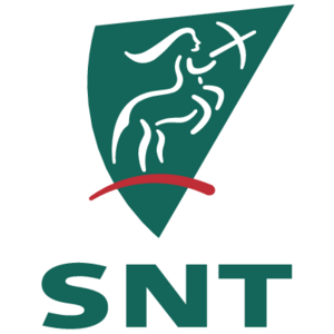 SNT Group Logo