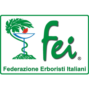 FEI Logo