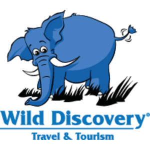 Wild Discovery Logo