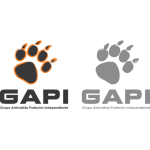 GAPI Logo