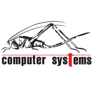 Computer Systems Logo