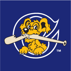 Charleston RiverDogs(215) Logo