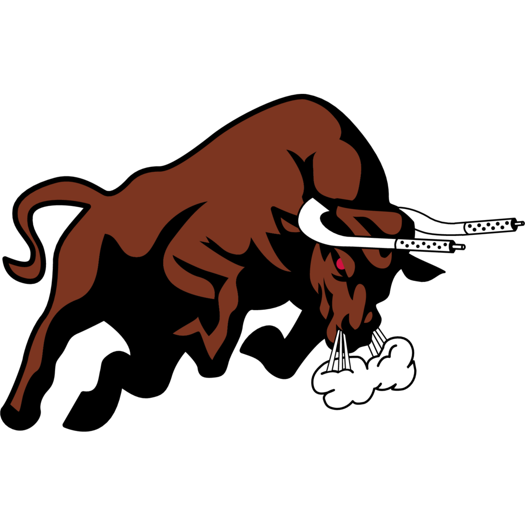 Buffalo Bulls Logo - PNG Logo Vector Downloads (SVG, EPS)
