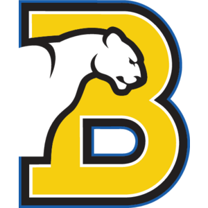 Birmingham-Southern Panthers Logo
