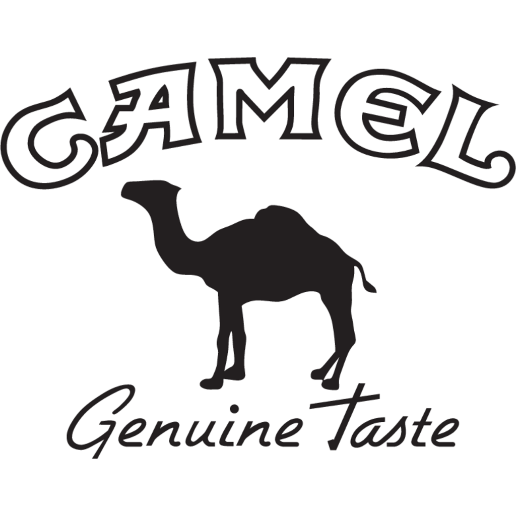 Camel