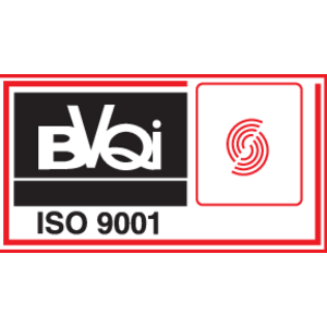 BVQI ISO 9001 S Logo