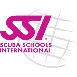 SSI Logo