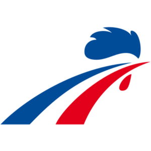 France National Ice Hockey Team Logo