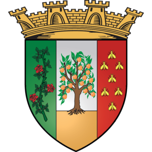 Ville De Blida Logo