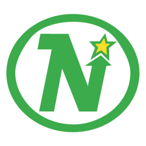 Dallas Stars(58) Logo