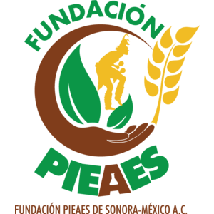 Fundacion Pieaes Logo