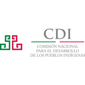 CDI Logo