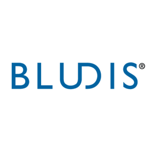 Bludis Logo