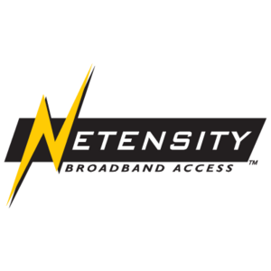 Netensity Logo