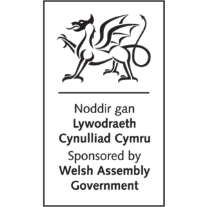 Welsh Assembly Government Logo