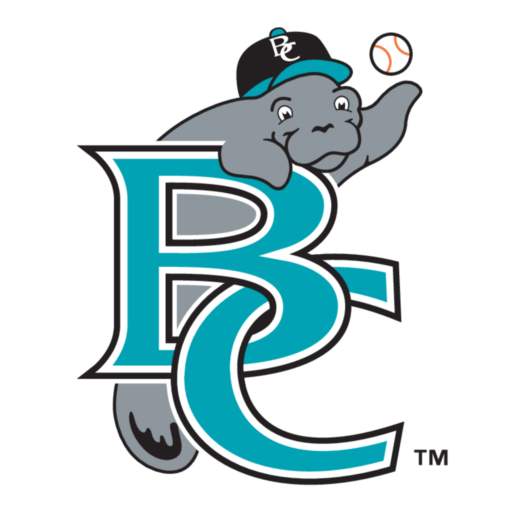 Brevard,County,Manatees(203)