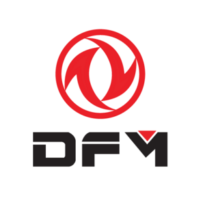 DFM Logo