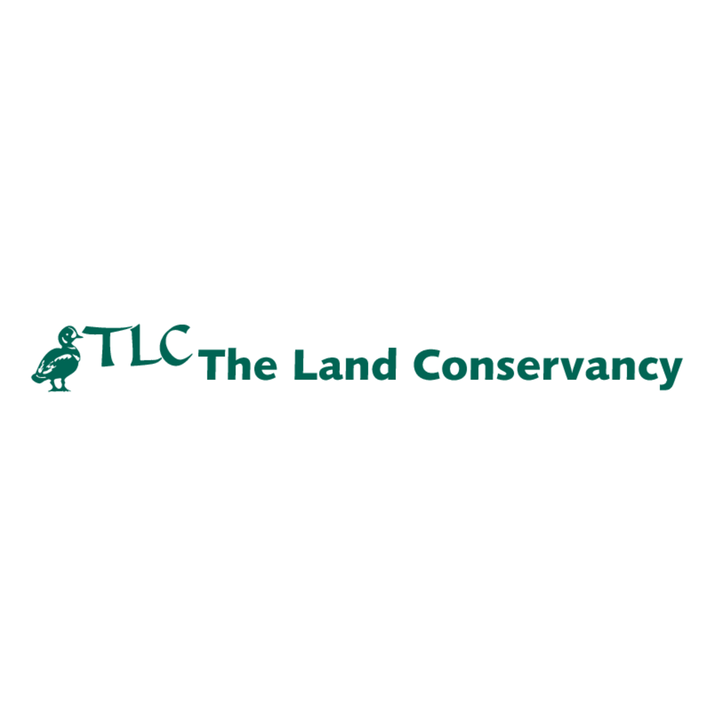 TLC(65)
