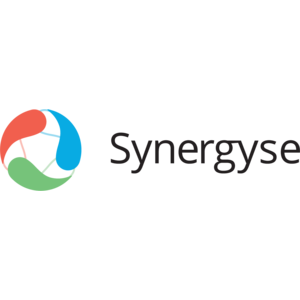 Synergyse Logo