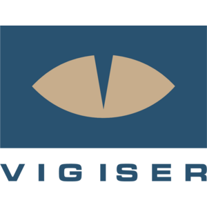 Vigiser Logo