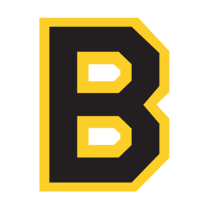 Boston Bruins(90)