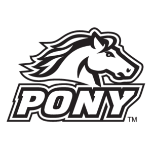 Pony(87)