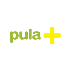 Pula Info Logo