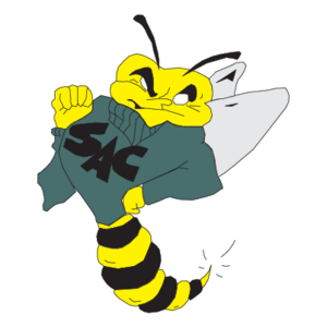 Sacramento State Hornets(37) Logo