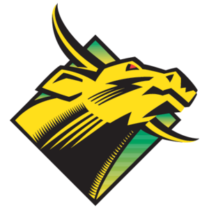 USF Bulls(84) Logo