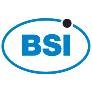 BSI(296) Logo