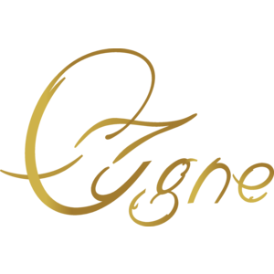 Cigne C.A Logo